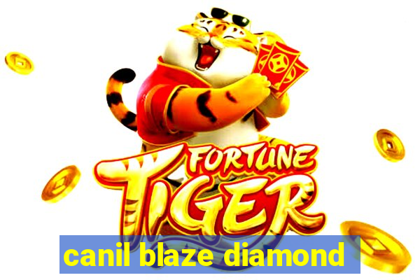 canil blaze diamond